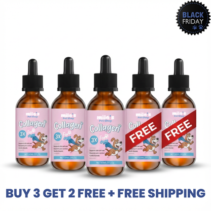 Golden Paws™ Premium Liquid Collagen for Dog