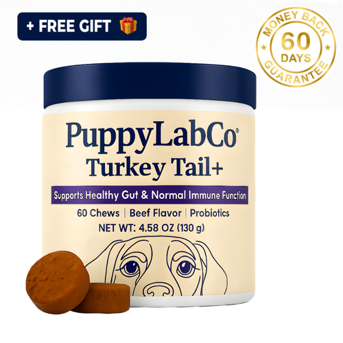 TurkeyTail+ Probiotics™ Formula