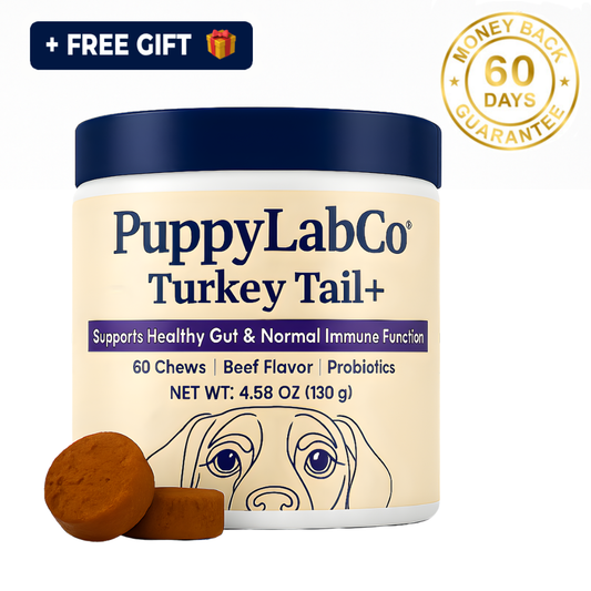 TurkeyTail+ Probiotics™ Formula