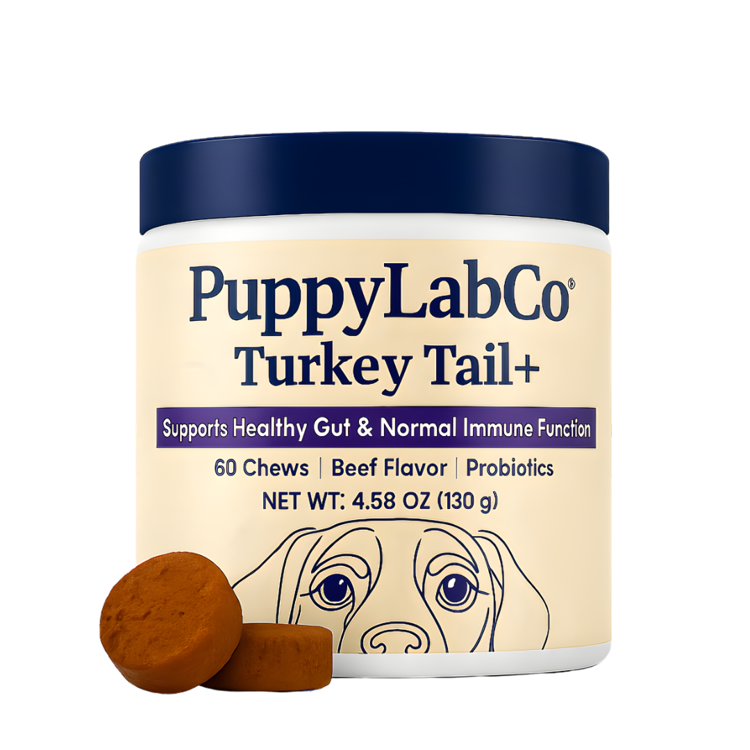 TurkeyTail+ Probiotics™ Formula