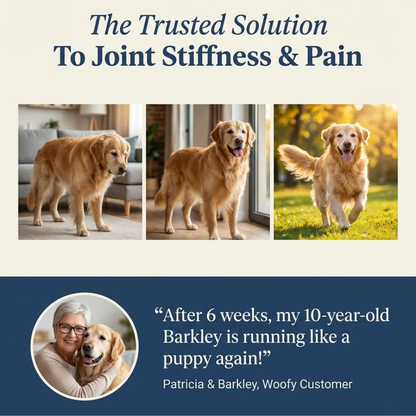 Joint Power+ for Dogs