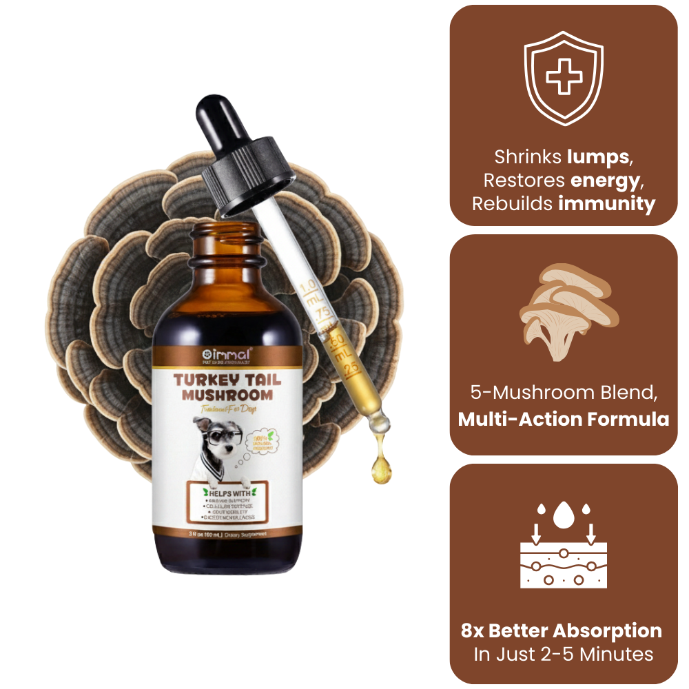 Get Your Organic Turkey Tail Drops Today