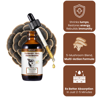 Get Your Organic Turkey Tail Drops Today