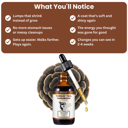 Get Your Organic Turkey Tail Drops Today