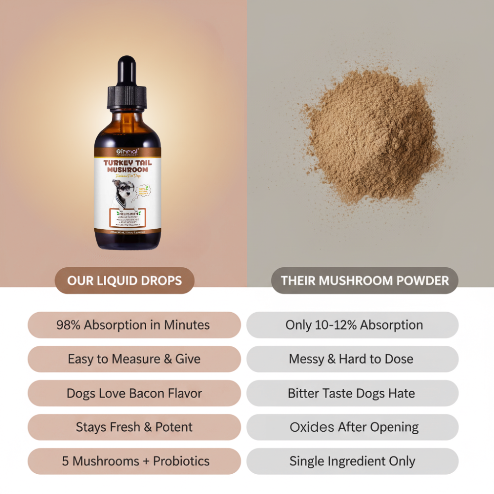 Get Your Organic Turkey Tail Drops Today