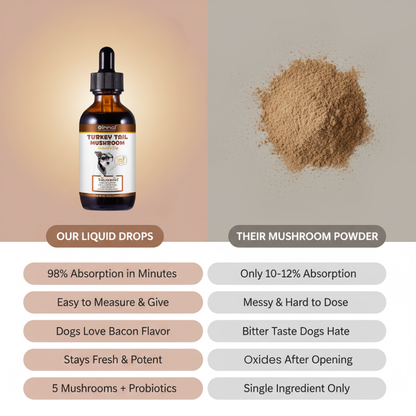 Get Your Organic Turkey Tail Drops Today