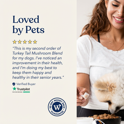 Woofy Turkey Tail+ for Dogs