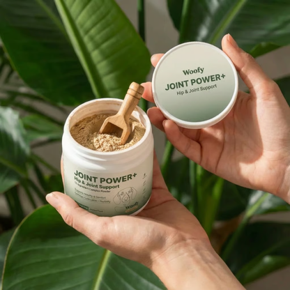 Joint Power+ for Dogs