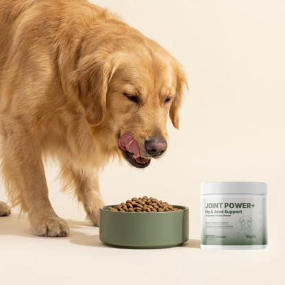 Joint Power+ for Dogs