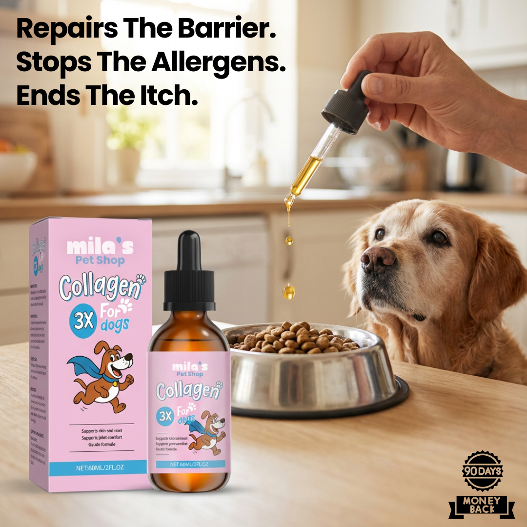 Golden Paws™ Premium Liquid Collagen for Dog
