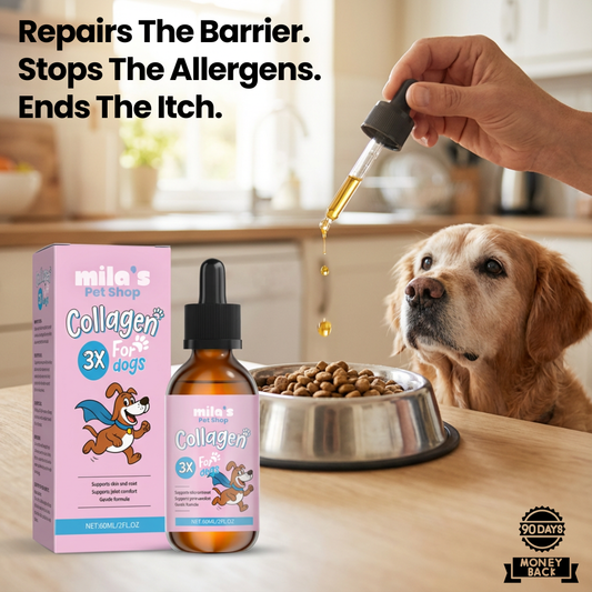 Golden Paws™ Premium Liquid Collagen for Dog