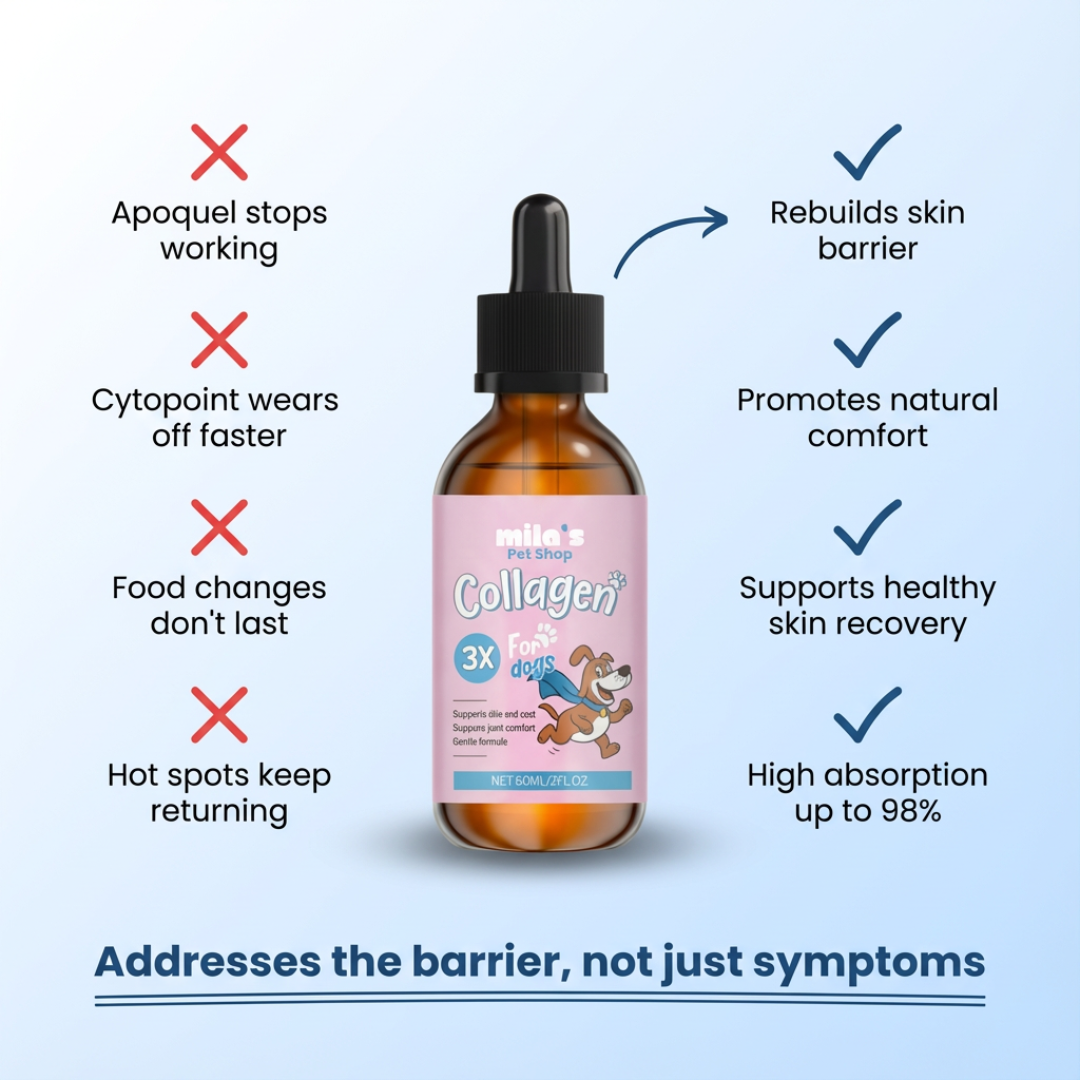 Golden Paws™ Premium Liquid Collagen for Dog