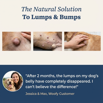 Woofy Turkey Tail+ for Dogs