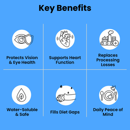 Stop the Silent Deficiency Before You See the Signs with Kittysupps™ Taurine Supplement