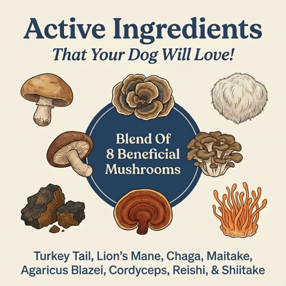 Woofy Turkey Tail+ for Dogs