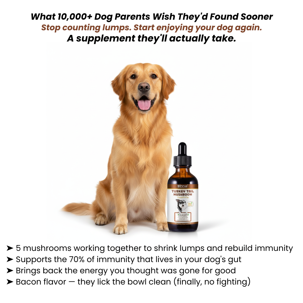 Get Your Organic Turkey Tail Drops Today