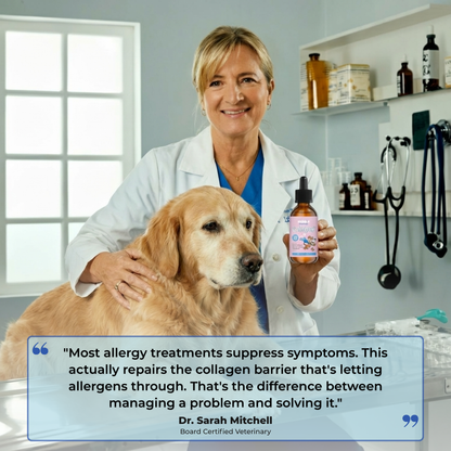 Golden Paws™ Premium Liquid Collagen for Dog