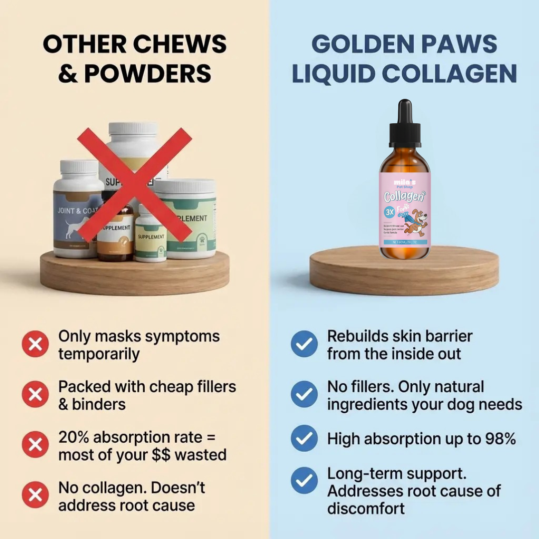 Golden Paws™ Premium Liquid Collagen for Dog