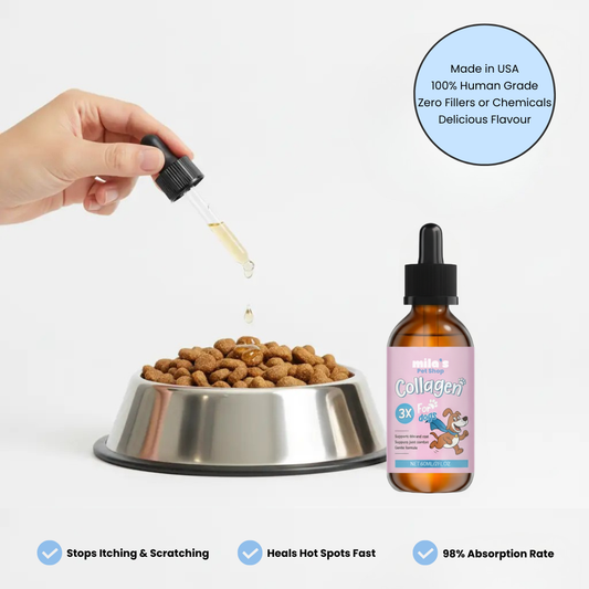 Golden Paws™ Premium Liquid Collagen for Dog