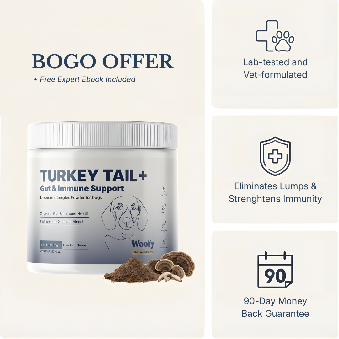 Turkey Tail+ for Dogs