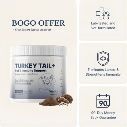 Turkey Tail+ for Dogs