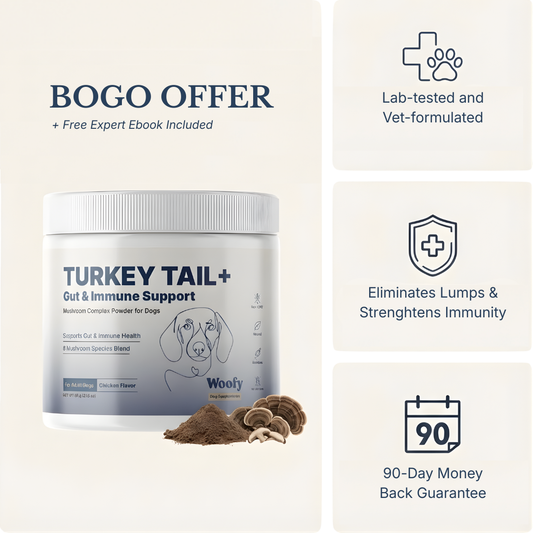 Turkey Tail+ for Dogs