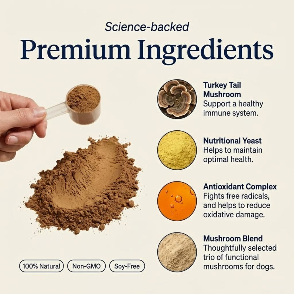 Woofy Turkey Tail+ for Dogs