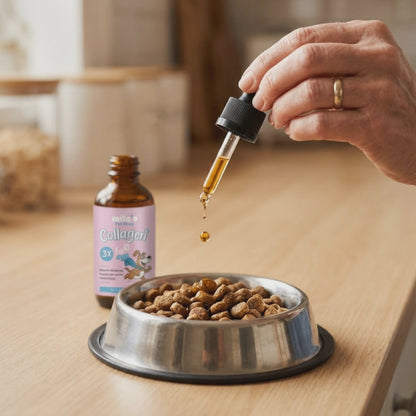 Golden Paws™ Premium Liquid Collagen for Dog